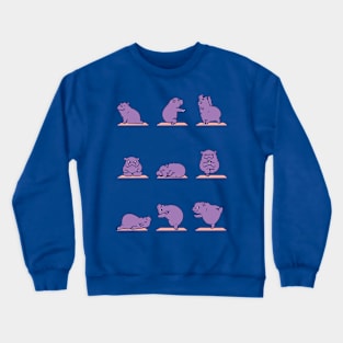 Baby Hippo Yoga Crewneck Sweatshirt